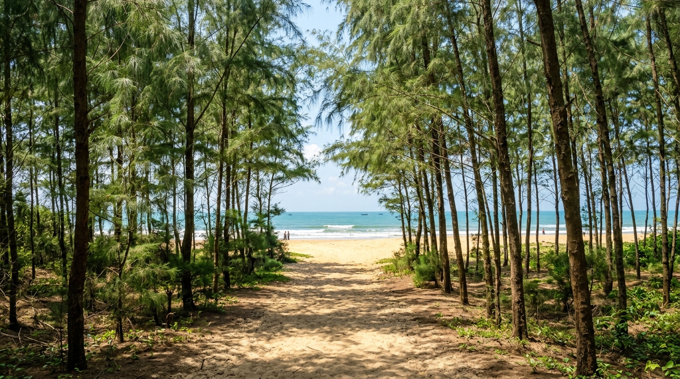 Casuarina Coastline Walk: Exploring Shankarpur's Serene Shore